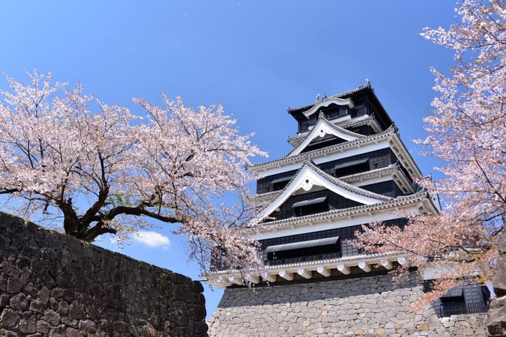 熊本城门票