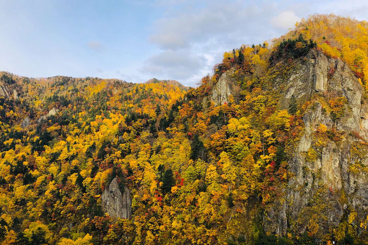 Sapporo Hill of the Buddha & Takino Autumn Cosmos & Mt. Hakkengenzan Genghis Khan BBQ & Jozankei Hoheikyo Autumn Leaves Day Trip
