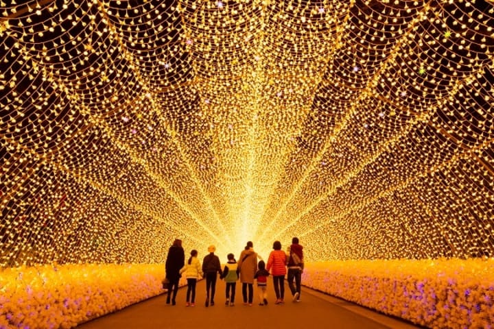 名古屋名花之里浪漫冬季点灯之旅 含名花之里和海棠园门票