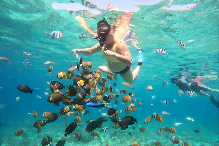 Day Tour di Gili Nanggu, Gili Sudak, dan Gili Kedis