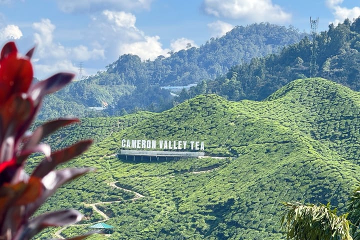 Cameron Highlands Guided Day Tour dengan Makan Siang (SIC)