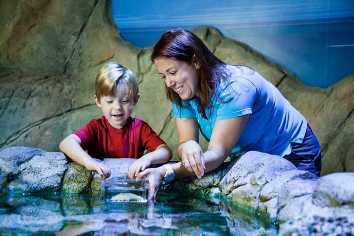 Tiket Sea Life Paris Aquarium
