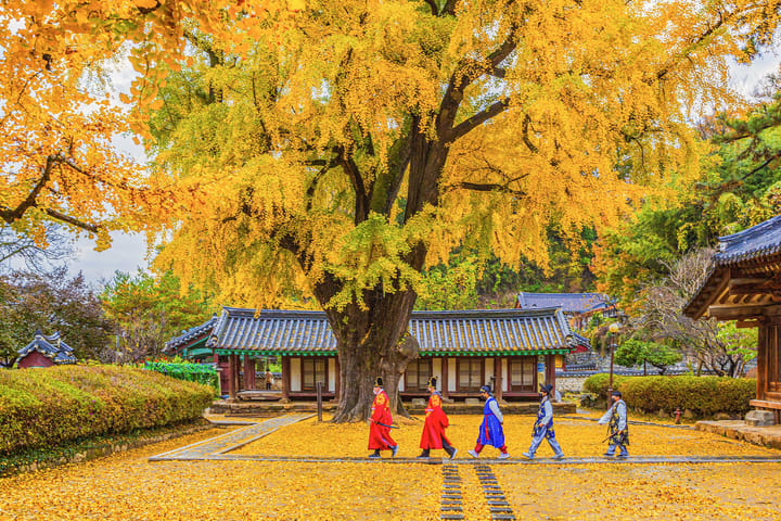 首尔出发全州韩屋村一日游