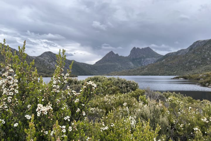 Cradle Mountain Fully Guided Day Tour dari Launceston