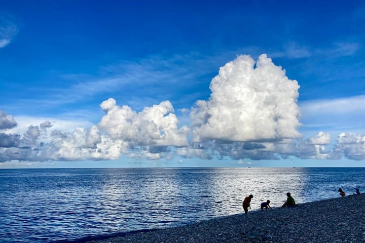 Whale watching + mountain and sea stroll one-day tour