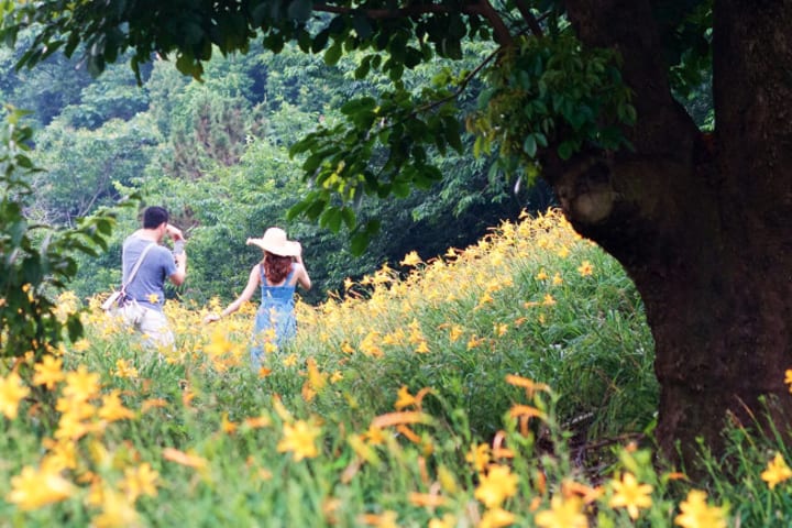 Tiket Muxinquan Leisure Farm di Taichung