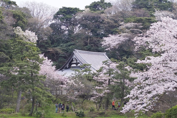 三溪园门票