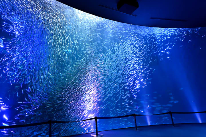 Tiket Port of Nagoya Public Aquarium