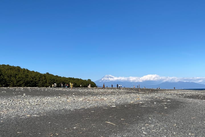 静冈市私人一日游（富士山观景 & 索道）