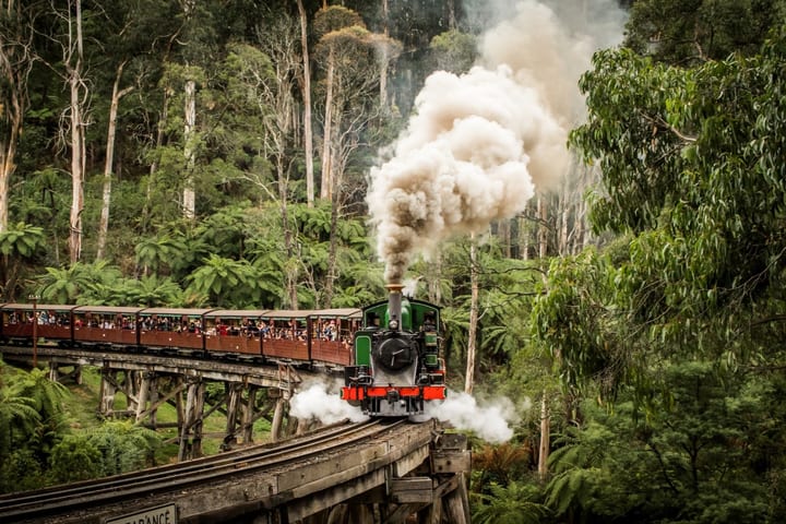 Tiket Puffing Billy Railway atau Bus Tour