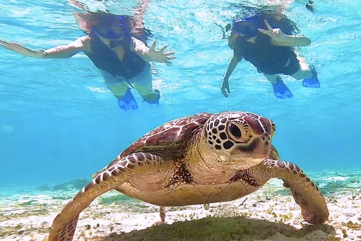 Miyako-jima: Snorkeling Penyu & SUP atau Kano di Pantai, Pengalaman 1 Hari/Setengah Hari (Okinawa)