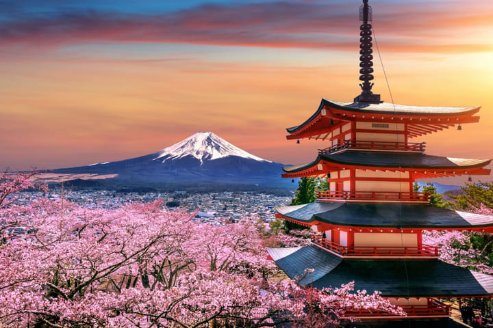 Tokyo: 2-Day Hot Spring Trip to Fuji, Hakone, and Izu