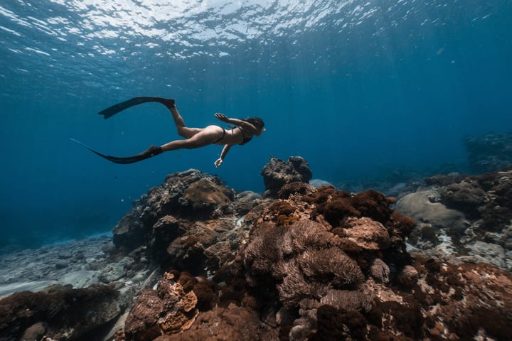 Taitung: Green Island Freediving Experience (No License Required & Includes Underwater Photography)