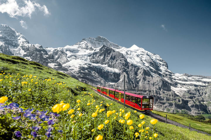 Tur Gunung Multi-Hari Luzern dan Pegunungan Alpen Swiss