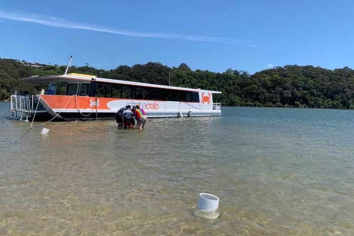 黄金海岸捉蟹体验