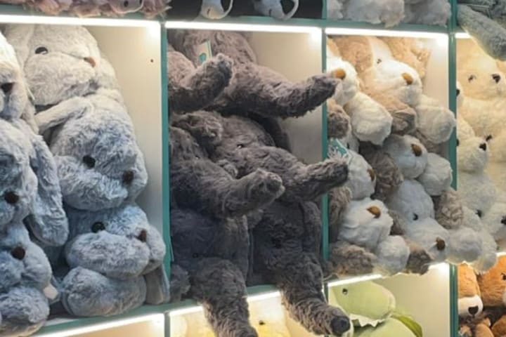 Workshop DIY Plushy oleh OLO Studio di Penang