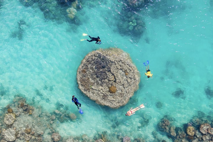 Fly Raft Experience with Scenic Flight and Ocean Rafting