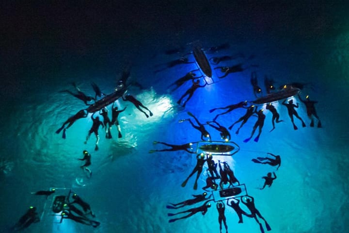 Hawaii Big Island Manta Ray Night Snorkel