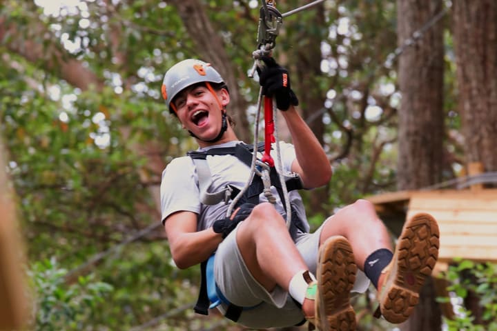 TreeTop Challenge at Currumbin Wildlife Sanctuary