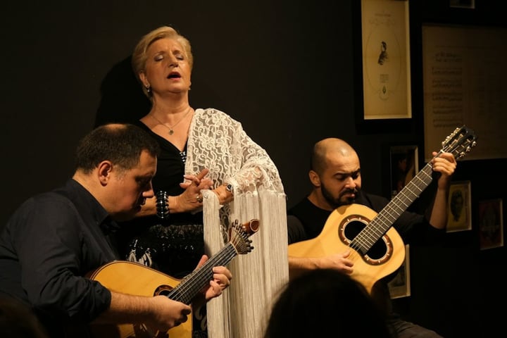 Traditional Fado concert ticket in Porto