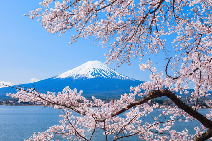 Mt. Fuji 5th Station, Ice Cave Adventure & Seasonal Fruit Picking All-You-Can-Eat Day Bus Tour dari Shinjuku
