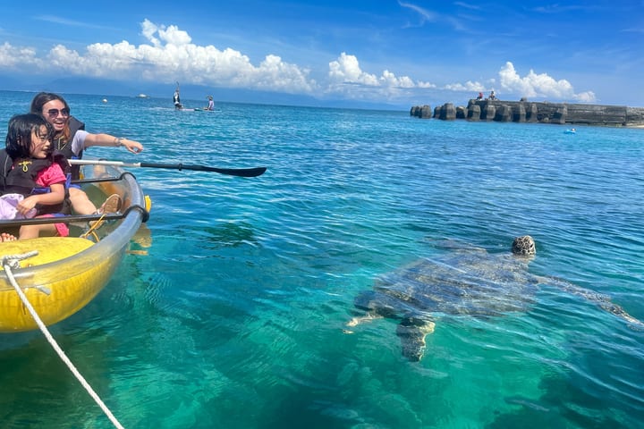 Xiao Liuqiu Sea Turtle Water Activities / Snorkeling / Canoe / SUP Board / Experience Deep Diving (Free Photos)