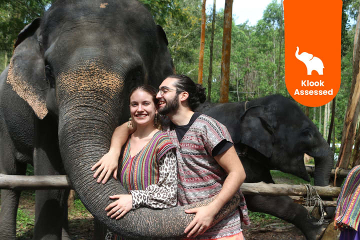 Naidee Elephant Care Park Experience in Phuket
