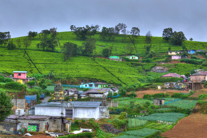 All in Nuwara Eliya Day Tour dari Kandy