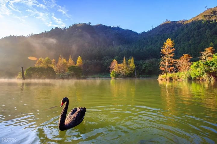Tiket Magao Ecological Park (Qilan Forest Recreation Area)