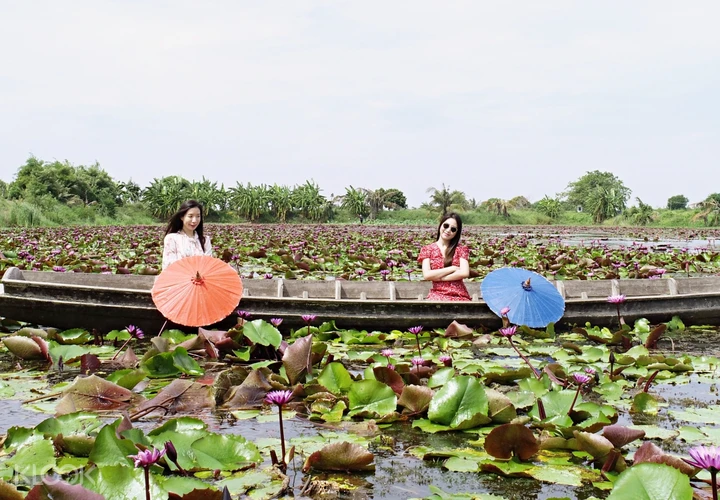Red Lotus Market Half Day Private Trip From Bangkok Thailand
