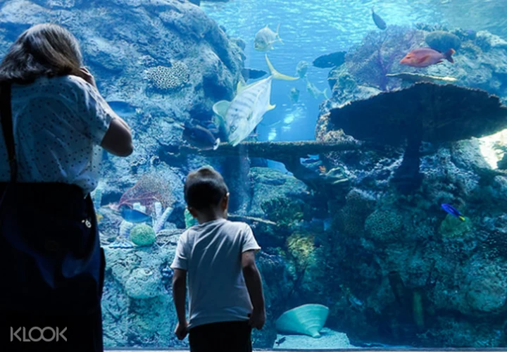 Aquarium of the Pacific, Los Angeles - Book Tickets & Tours