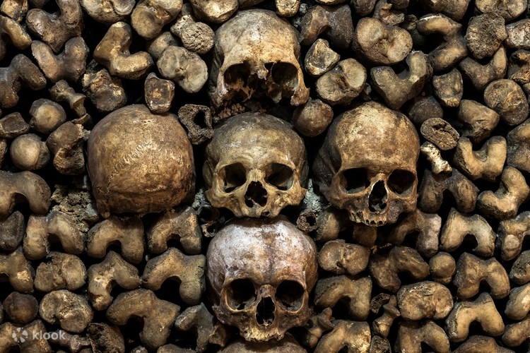 Catacombs Of Paris Skip The Line Entrance Tickets Klook