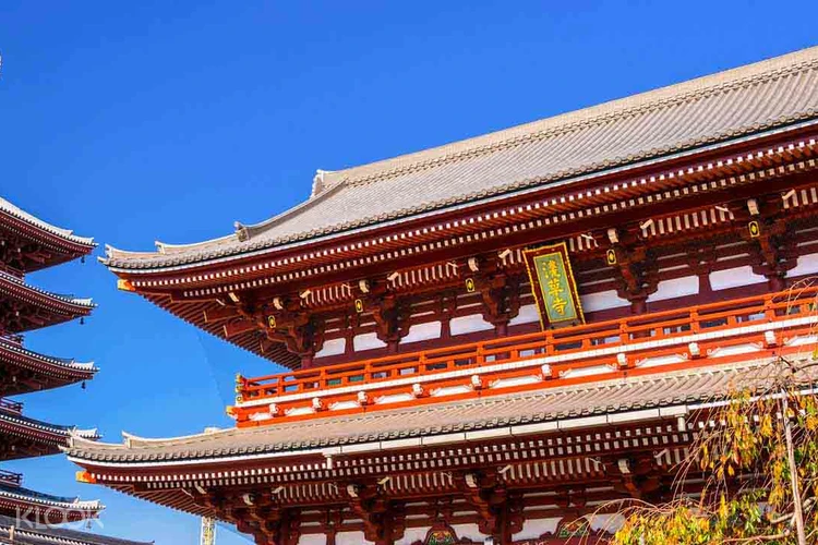 Dynamic Tokyo Sightseeing Tour Klook Us