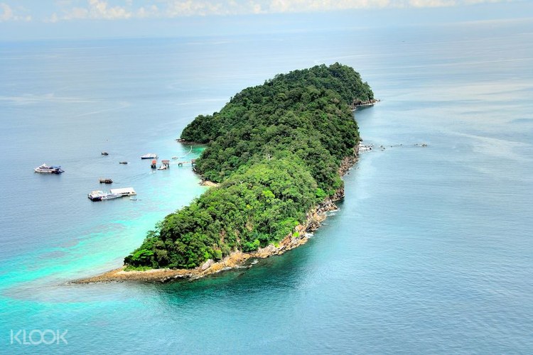 Snorkeling And Diving Adventures In Pulau Payar From Penang Klook Singapore