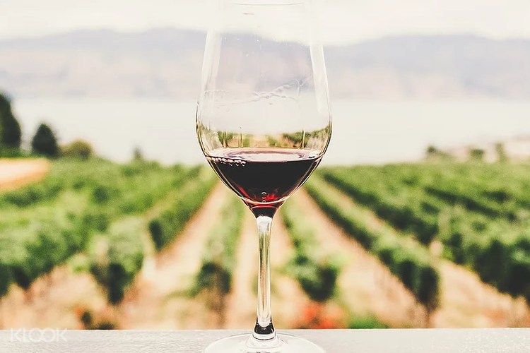 Yarra Valley Wine Tour Dari Melbourne Australia
