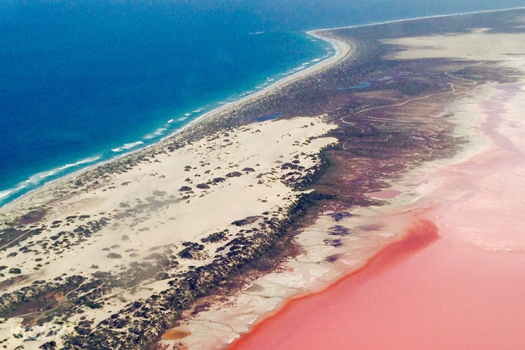 Can You Swim In The Pink Lake Kalbarri Pink Lake Abrolhos Islands Day Tour From Geraldton Klook Uk