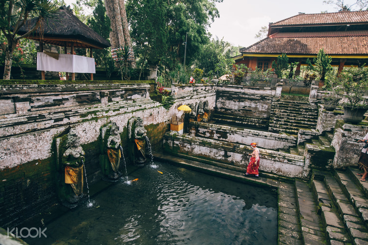 Pure Ubud Tour With Lunch At Bebek Bengil Restaurant In Bali Indonesia
