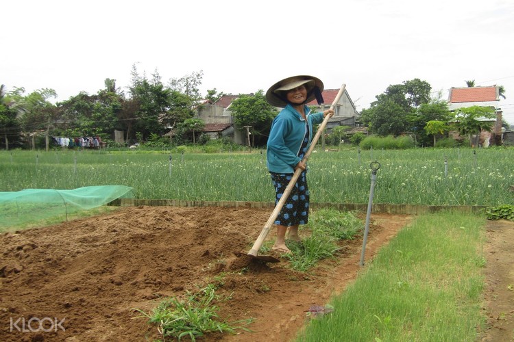 Up To 20 Off Tra Que Village Thanh Ha Pottery Village And Coconut Forest Countryside Tour With Aodai Rider Hoi An Vietnam Klook Singapore