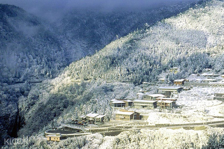 太平山國家森林遊樂區 來太平山雲海咖啡館等 一整個大自然美景流轉變幻 手機直拍不修片 照片 Moi Facebook