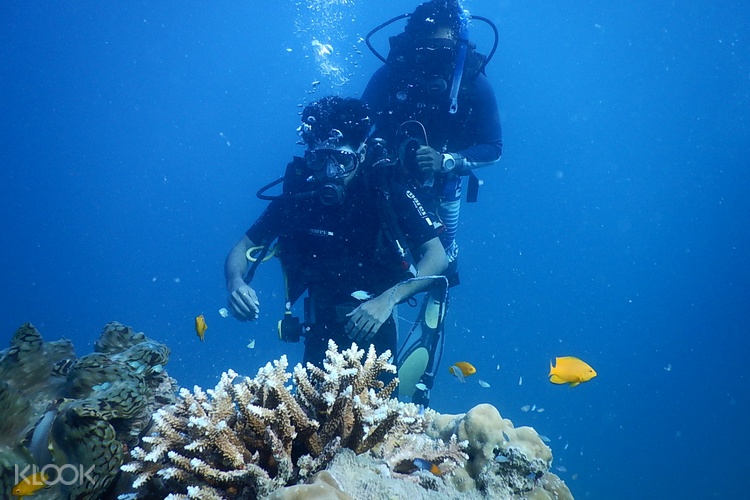 Scuba Diving Adventure Ngapali Myanmar Klook Us