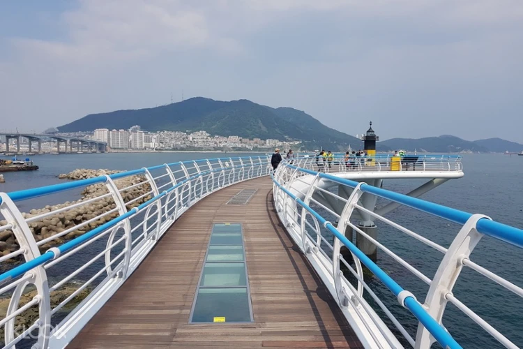 Gimhae Nakdong River Railbike Biff Square Wine Cave And