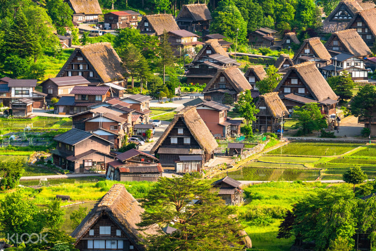 2D1N World Heritage Shirakawa-go & Hida Takayama Tour with All-you-can-eat Buffet
