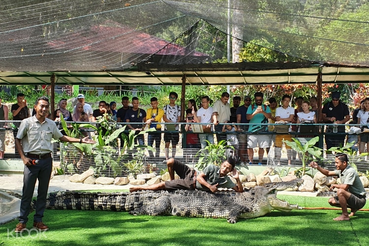 Crocodile Adventureland Langkawi Admission Ticket Klook Malaysia
