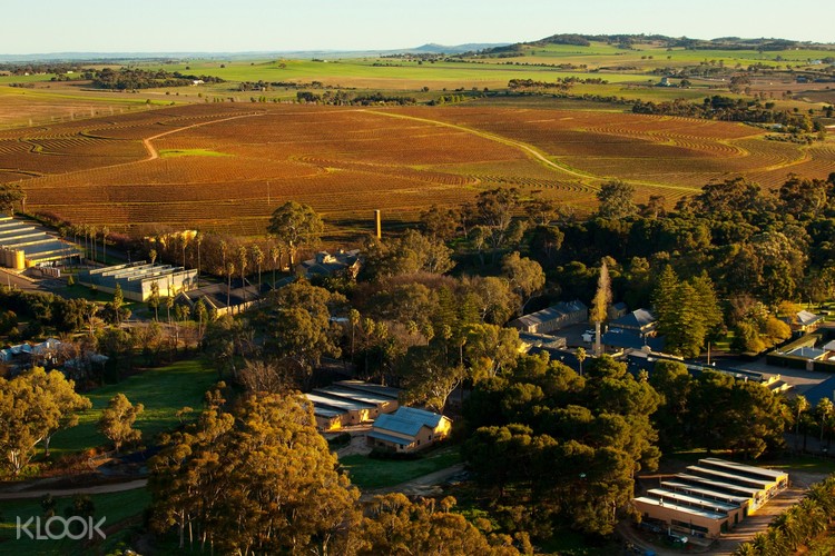 Barossa Valley And Hahndorf Day Tour Dari Adelaide Australia