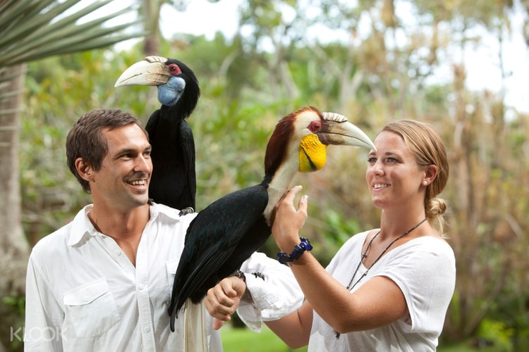 Bali Bird Park Klook Malaysia