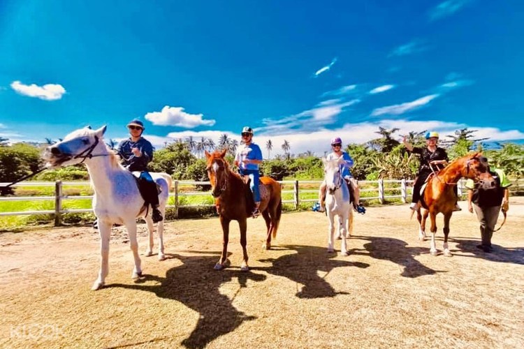 Countryside Stables Admission Ticket In Penang Klook Malaysia