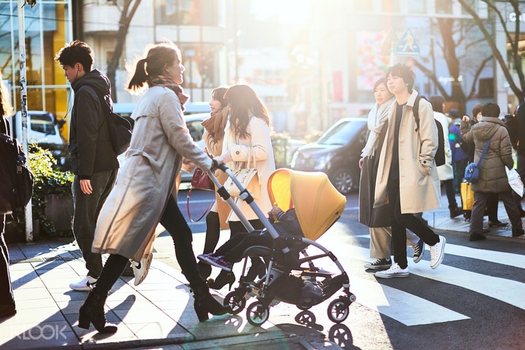 best mosquito net for stroller