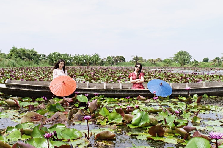 佛統紅蓮花水上市場半日遊 klook客路台灣