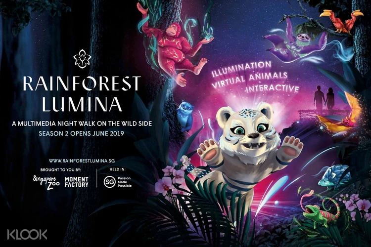Rainforest Lumina At Singapore Zoo Admission Ticket In Singapore Klook Us