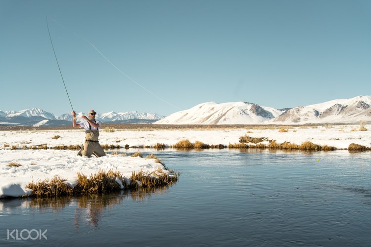 trout fishing near me